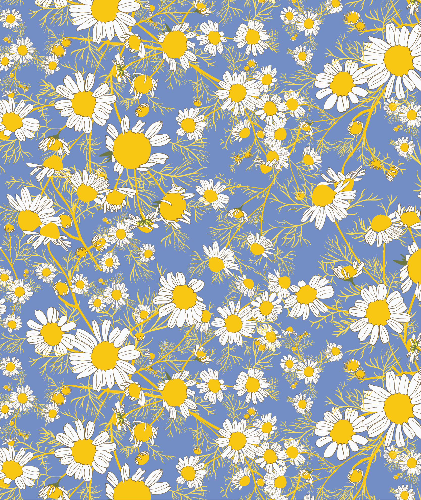 Chamomile in blue and yellow - Magical Weeds collection